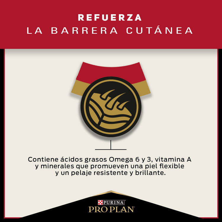 Pro Plan Adulto Razas Pequeñas