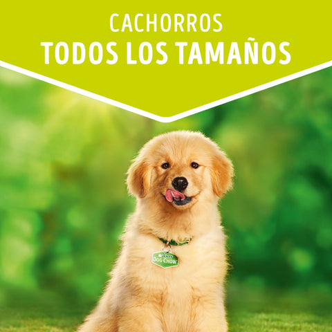 Dog Chow con Pollo para Cachorros