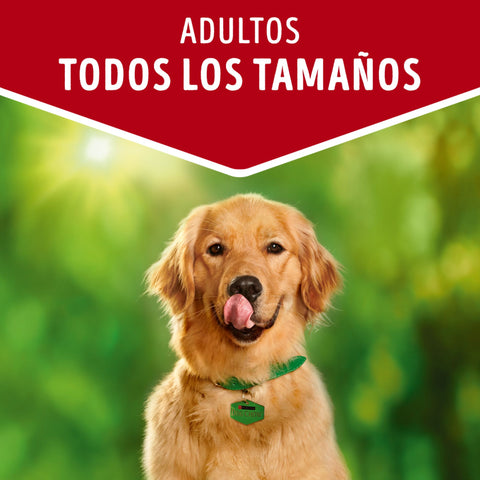 Dog Chow con Carne para Perros Adultos