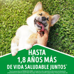 Dog Chow con Carne para Perros Adultos