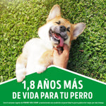 Dog Chow con Cordero para Perros Adultos