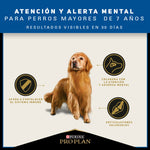 Pro Plan Active Mind Razas Medianas y Grandes