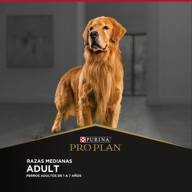 Pro Plan Adulto Razas Medianas
