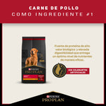 Pro Plan Adulto Razas Medianas