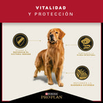 Pro Plan Adulto Razas Medianas