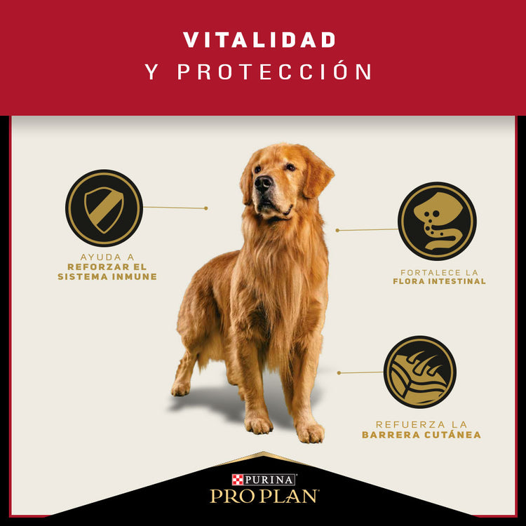 Pro Plan Adulto Razas Medianas