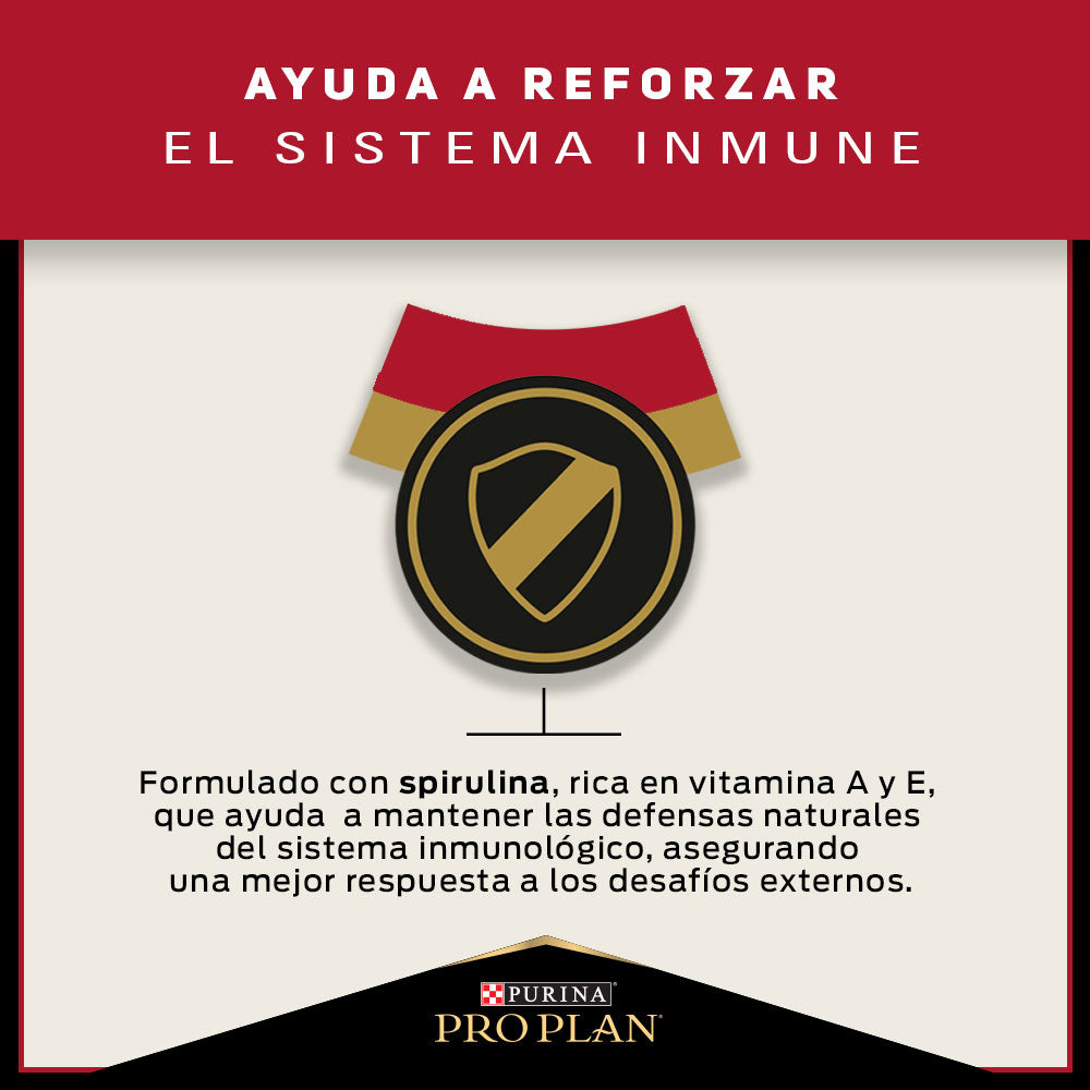 Pro Plan Adulto Razas Medianas