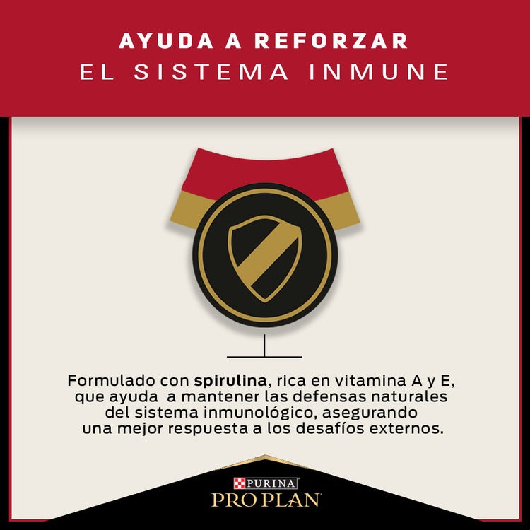 Pro Plan Adulto Razas Medianas