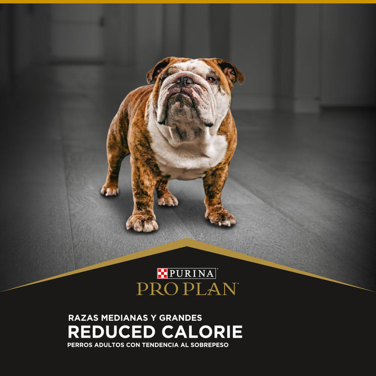 Pro Plan Reduced Calorie Razas Medianas y Grandes
