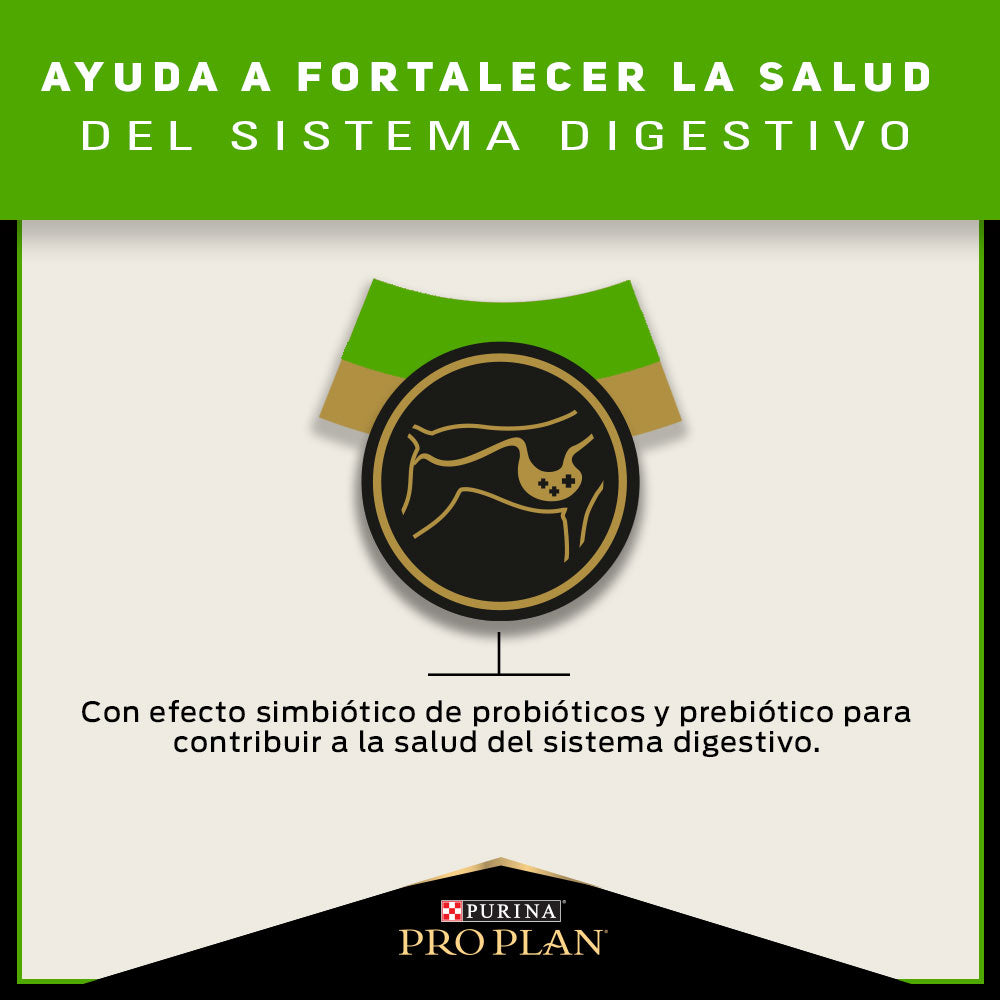 Pro Plan Sensitive Skin and Stomach Perros
