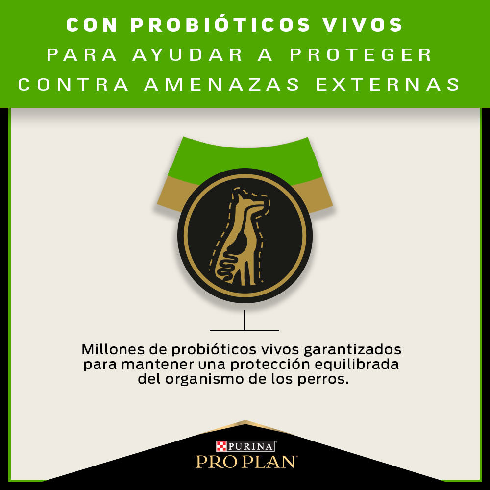 Pro Plan Sensitive Skin and Stomach Perros