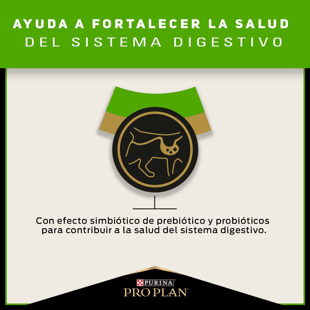 Pro Plan Sensitive Skin and Stomach Gatos