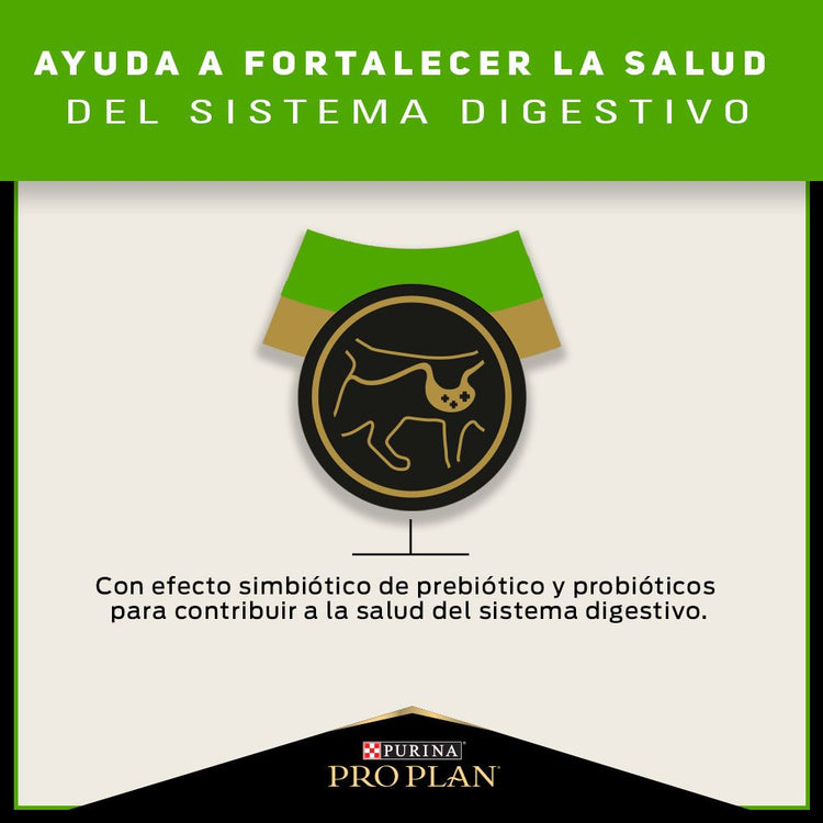 Pro Plan Sensitive Skin and Stomach Gatos