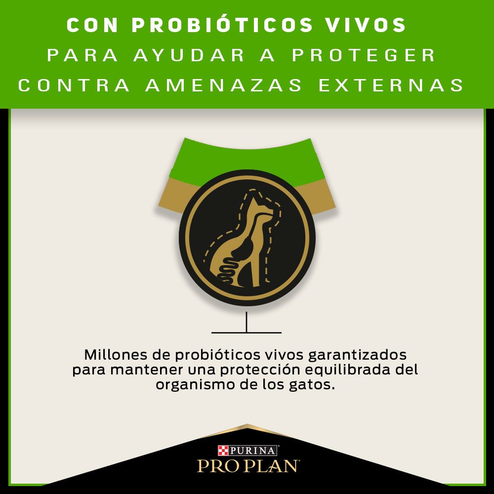 Pro Plan Sensitive Skin and Stomach Gatos