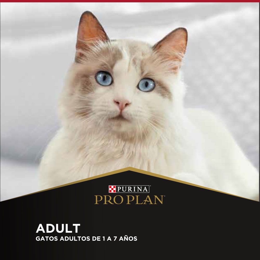 Pro Plan Gato Adulto