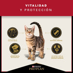 Pro Plan Gato Adulto