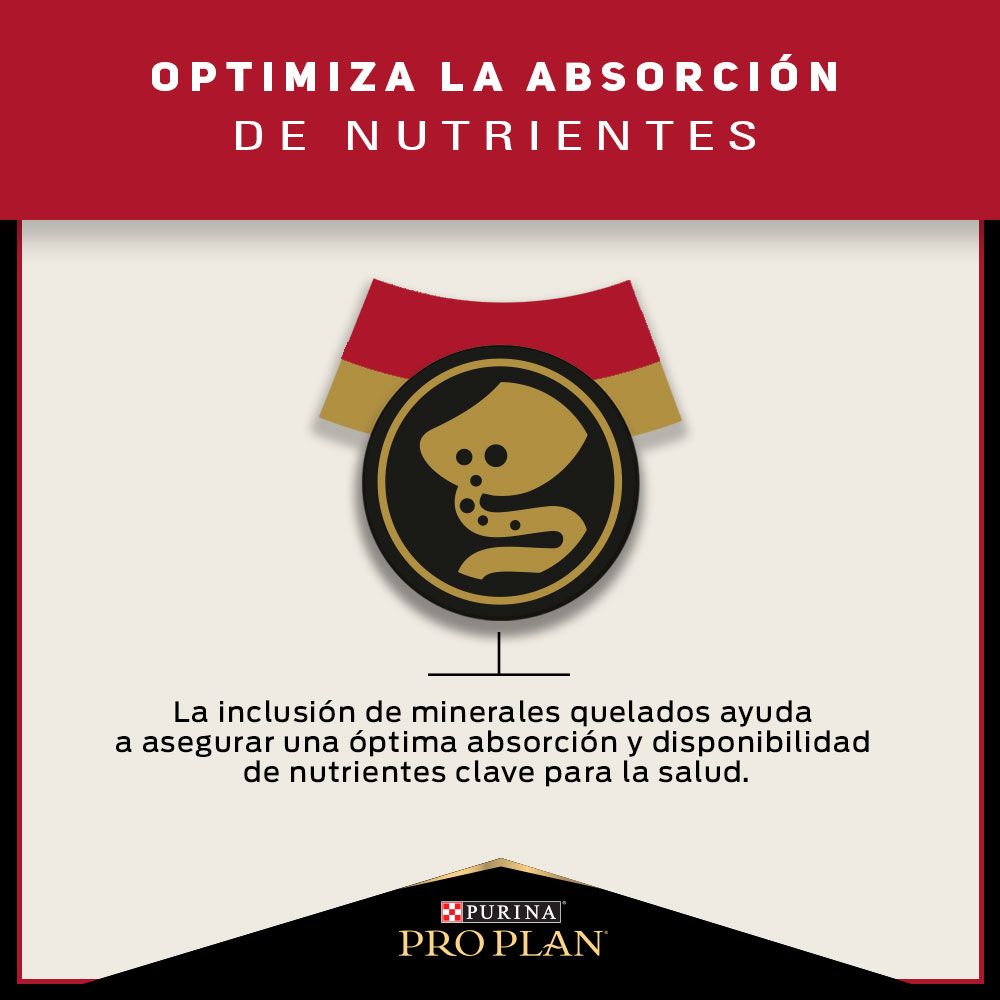 Pro Plan Gato Adulto