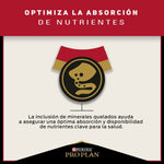 Pro Plan Gato Adulto