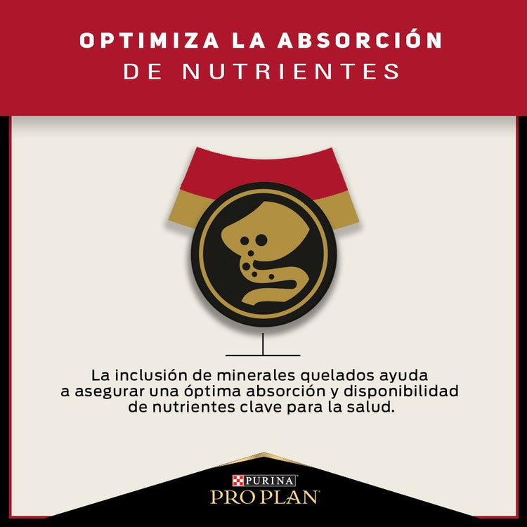 Pro Plan Gato Adulto