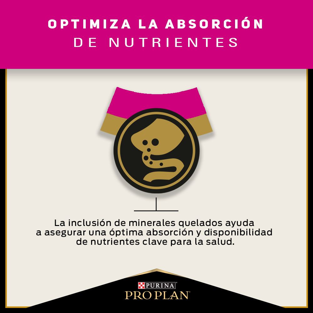 Pro Plan Gatos Esterilizados