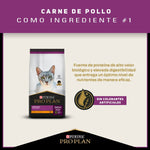 Pro Plan Cat Urinary