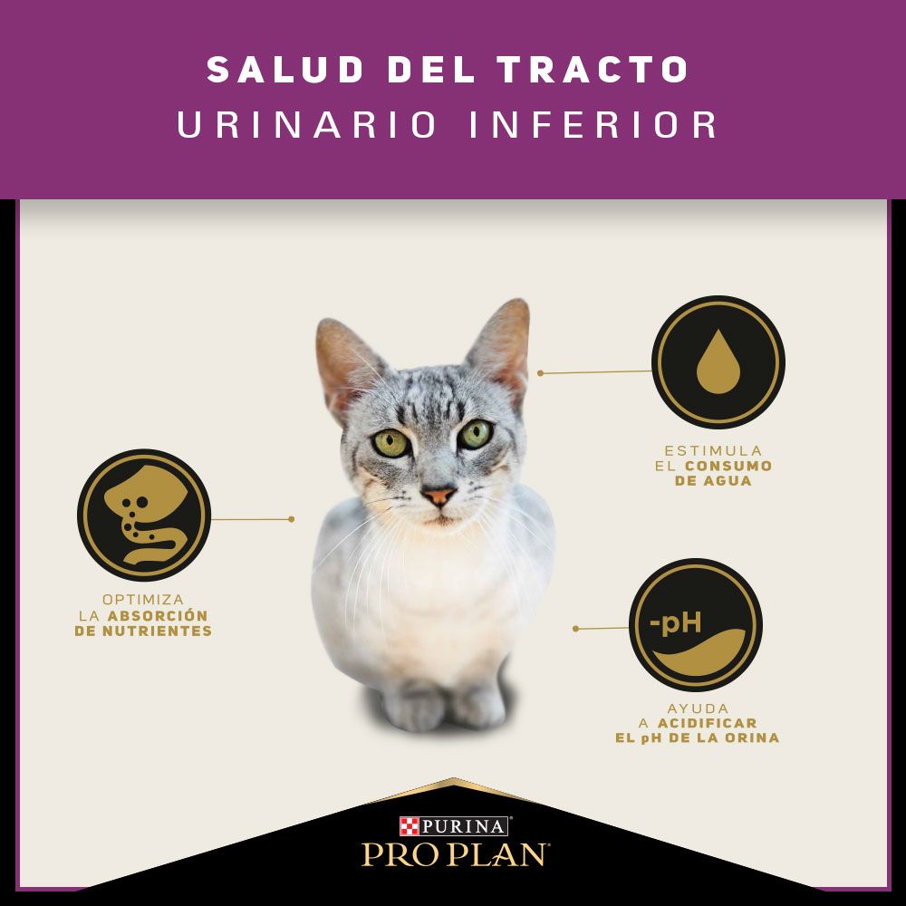 Pro Plan Cat Urinary