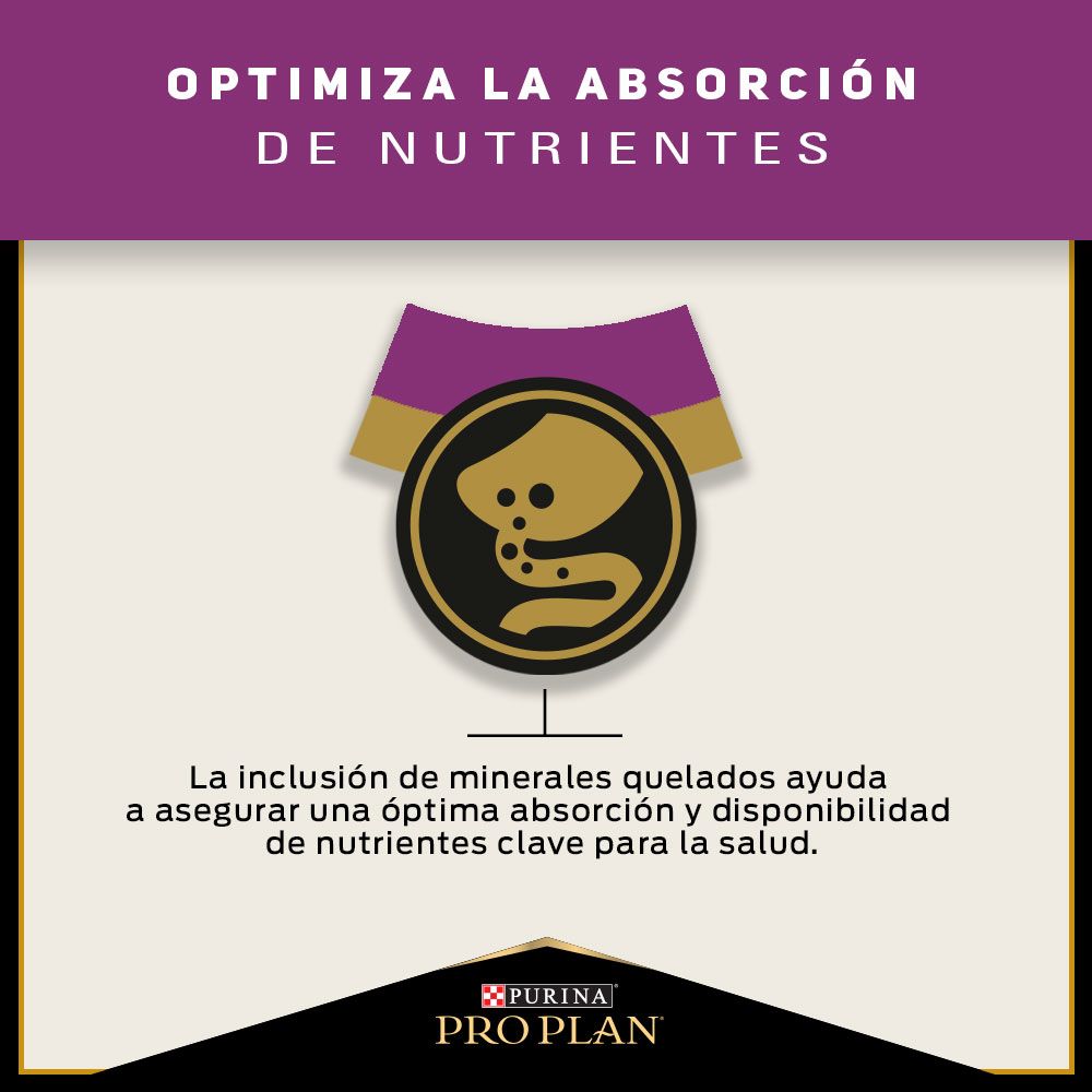 Pro Plan Cat Urinary