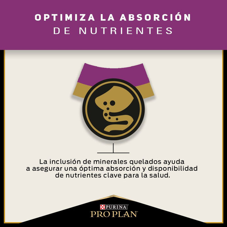 Pro Plan Cat Urinary