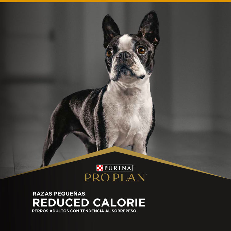 Pro Plan Reduced Calorie Razas Pequeñas