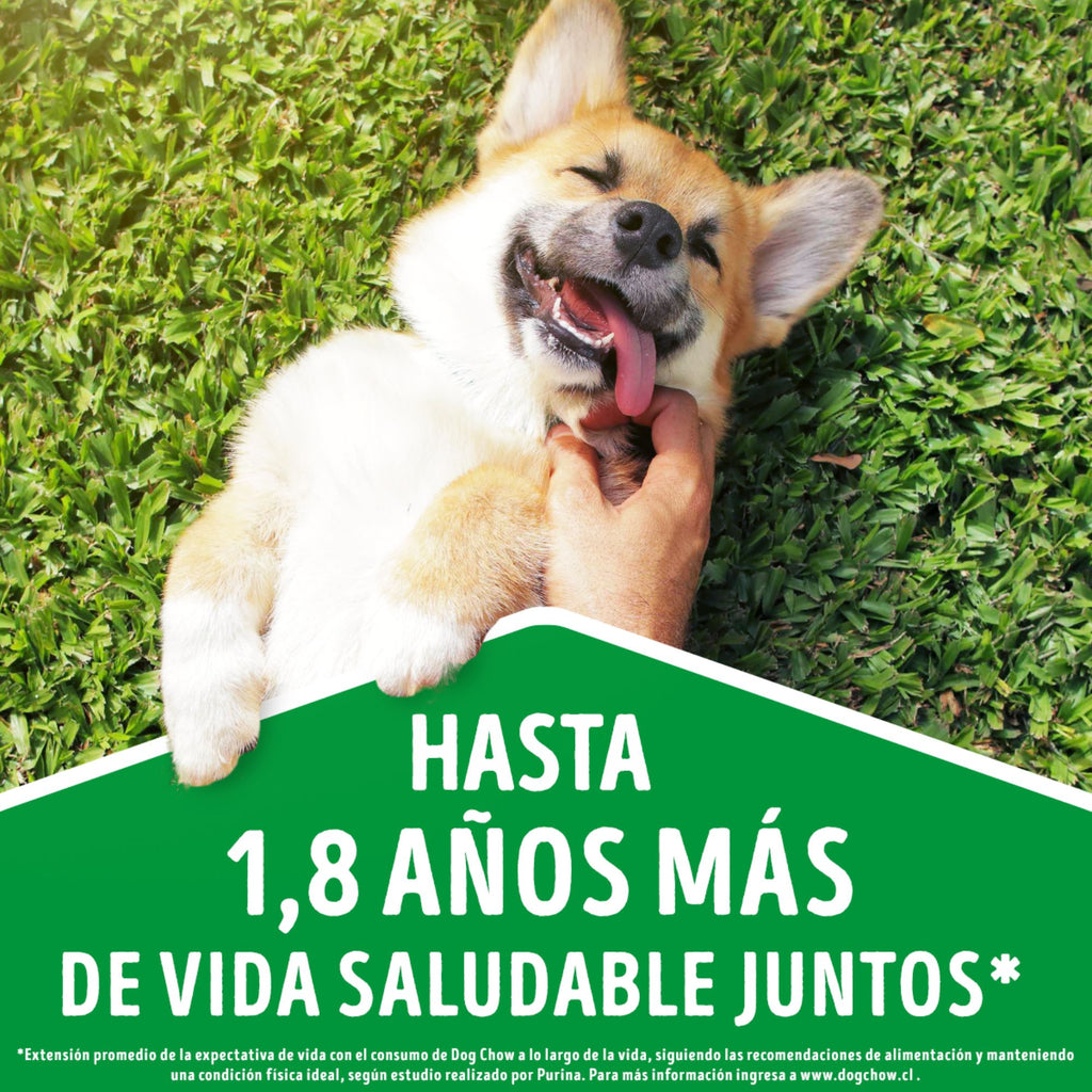 Dog Chow Adulto Medianos y Grandes