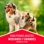 Dog Chow Adulto Medianos y Grandes