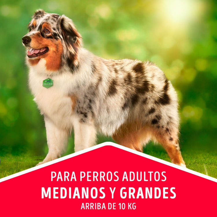 Dog Chow Adulto Medianos y Grandes