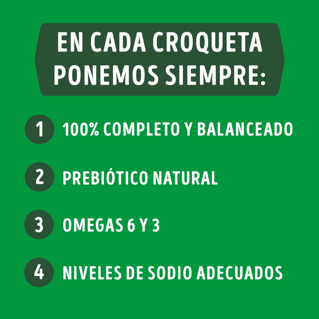 Dog Chow Adulto Medianos y Grandes