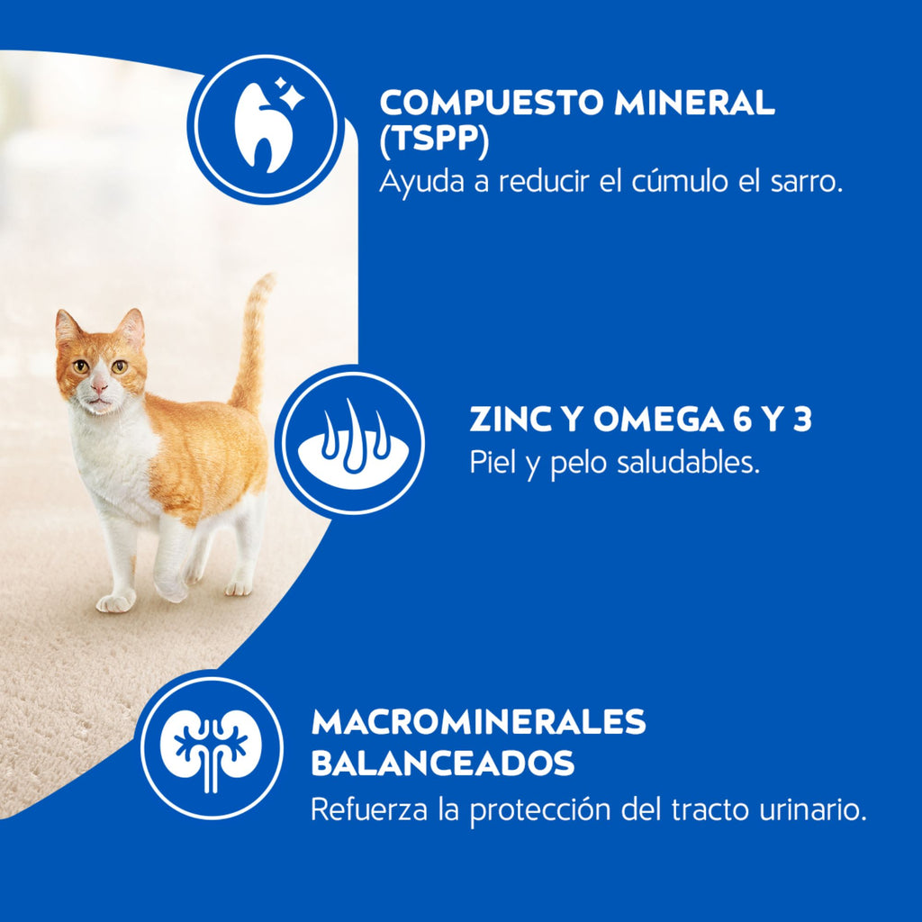 Cat Chow para Gatos Adultos