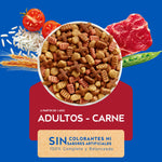 Cat Chow para Gatos Adultos Carne