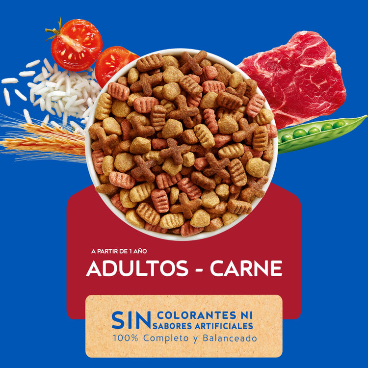 Cat Chow para Gatos Adultos Carne