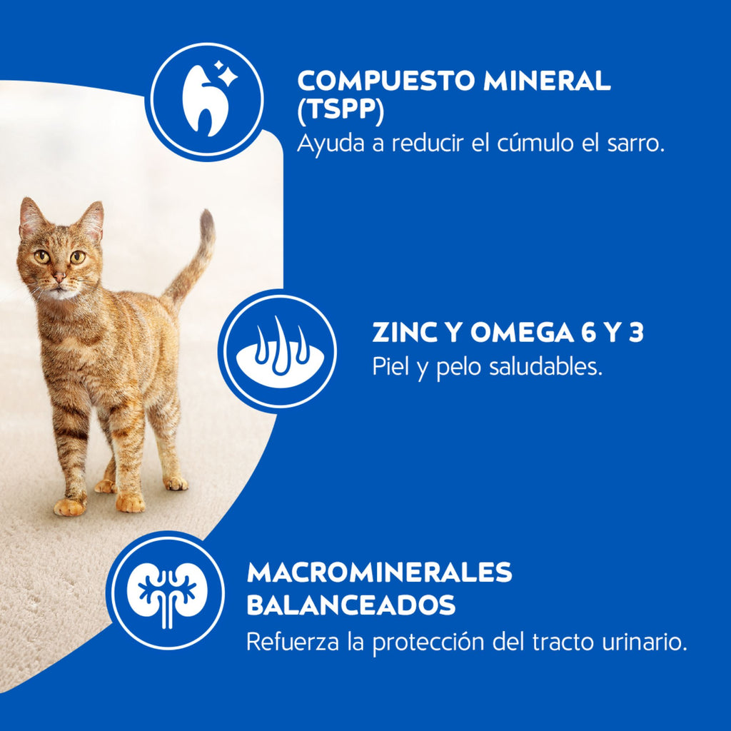 Cat Chow para Gatos Adultos Carne