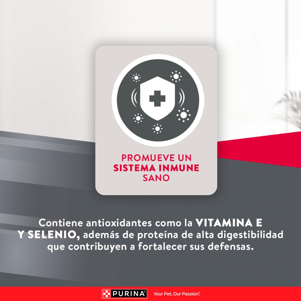 Purina Excellent Perros Adultos Razas Medianas y Grandes
