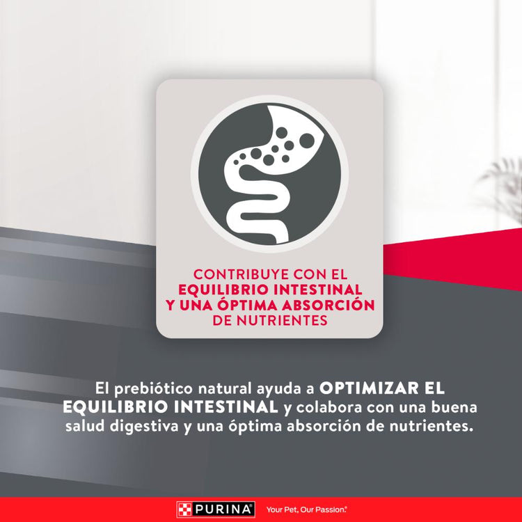 Purina Excellent Perros Adultos Razas Medianas y Grandes