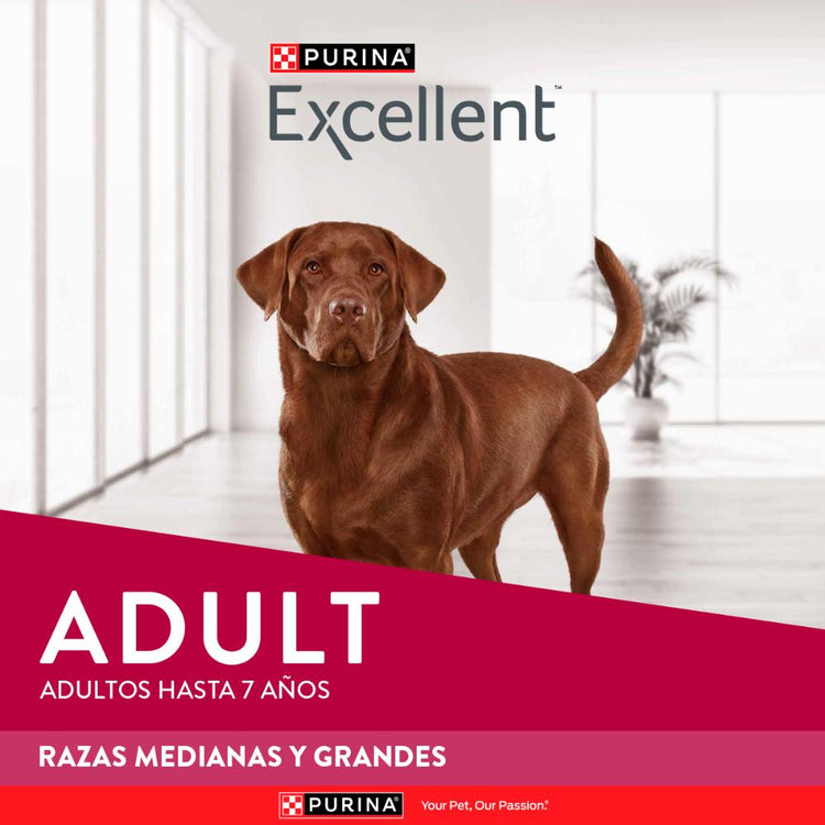 Purina Excellent Perros Adultos Razas Medianas y Grandes