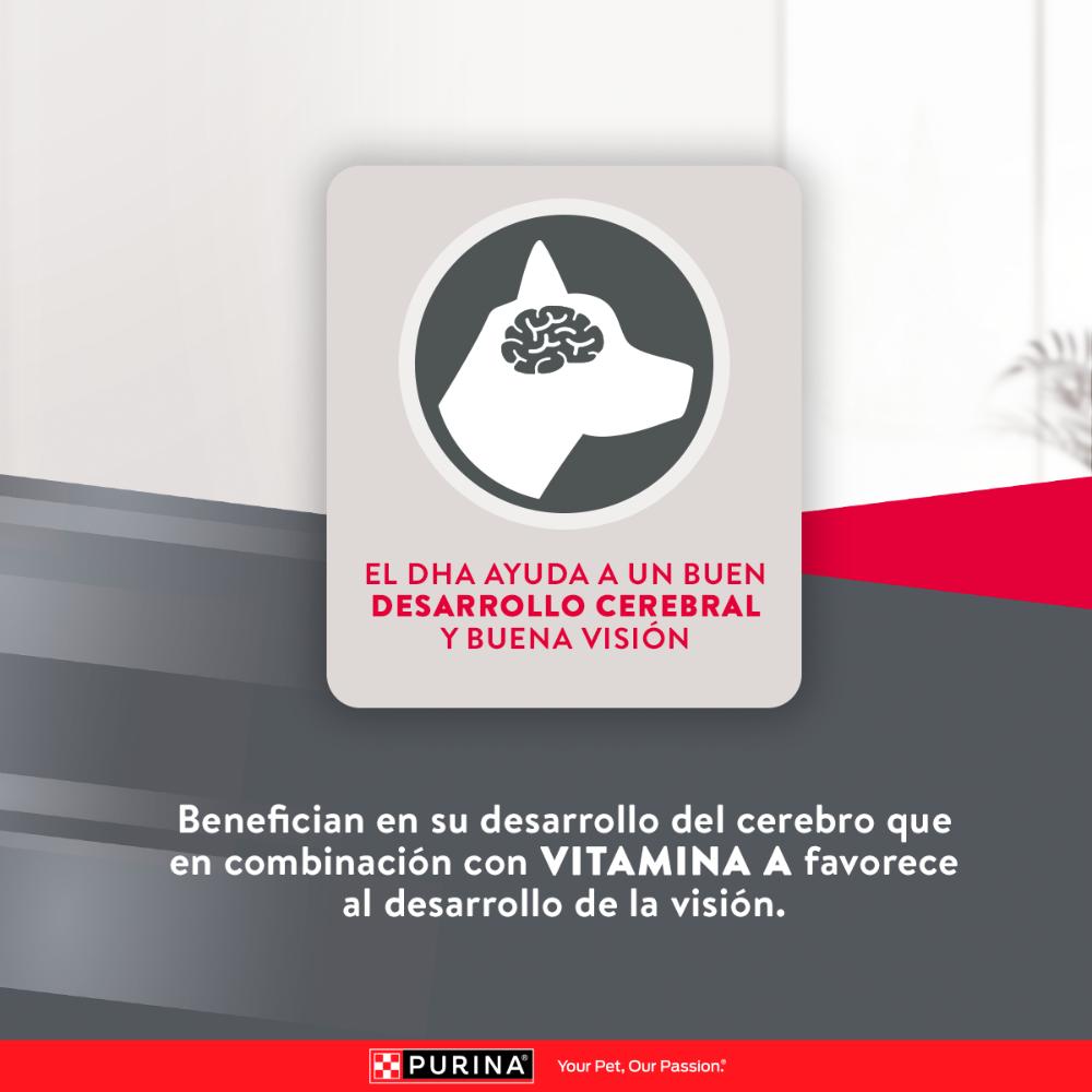 Purina Excellent Cachorros Razas Medianas y Grandes