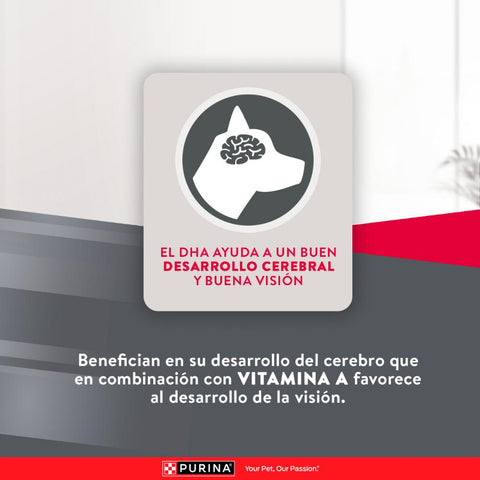 Purina Excellent Cachorros Razas Medianas y Grandes