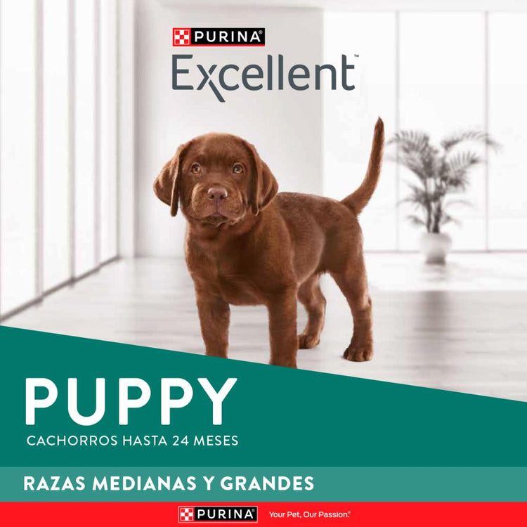 Purina Excellent Cachorros Razas Medianas y Grandes