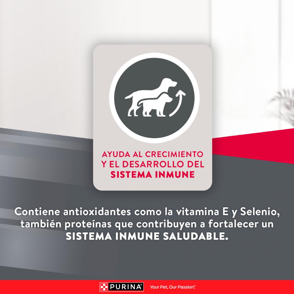 Purina Excellent Cachorros Razas Medianas y Grandes