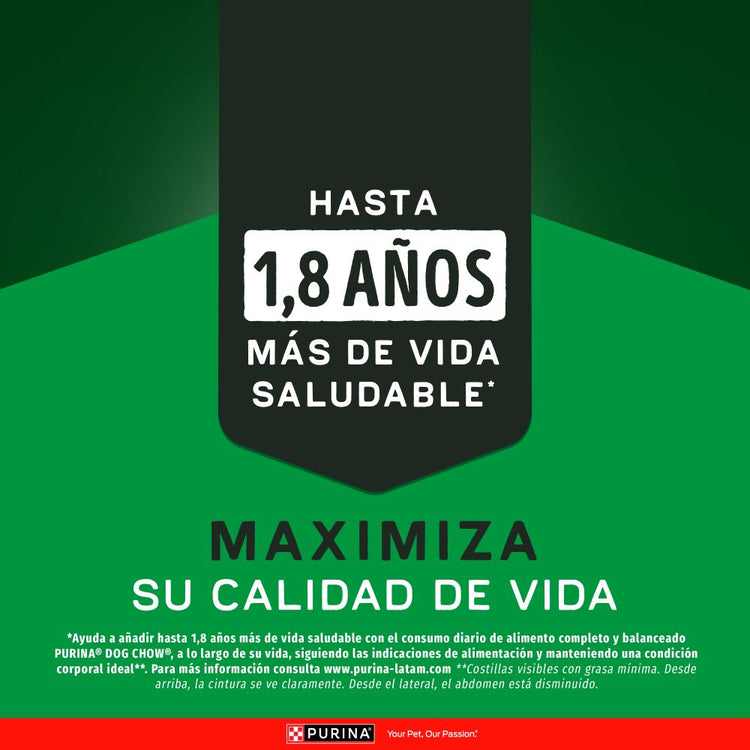Dog Chow Alta Proteína