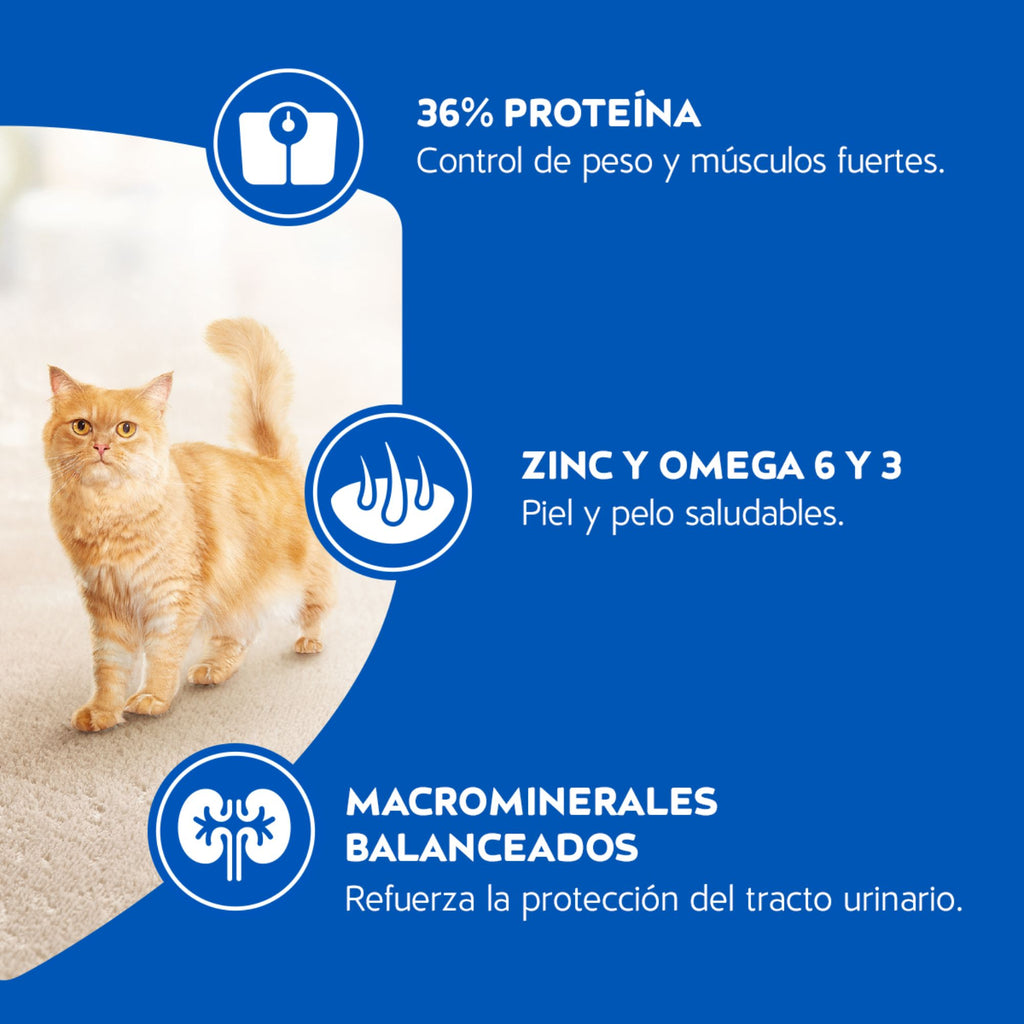 Cat Chow Esterilizados