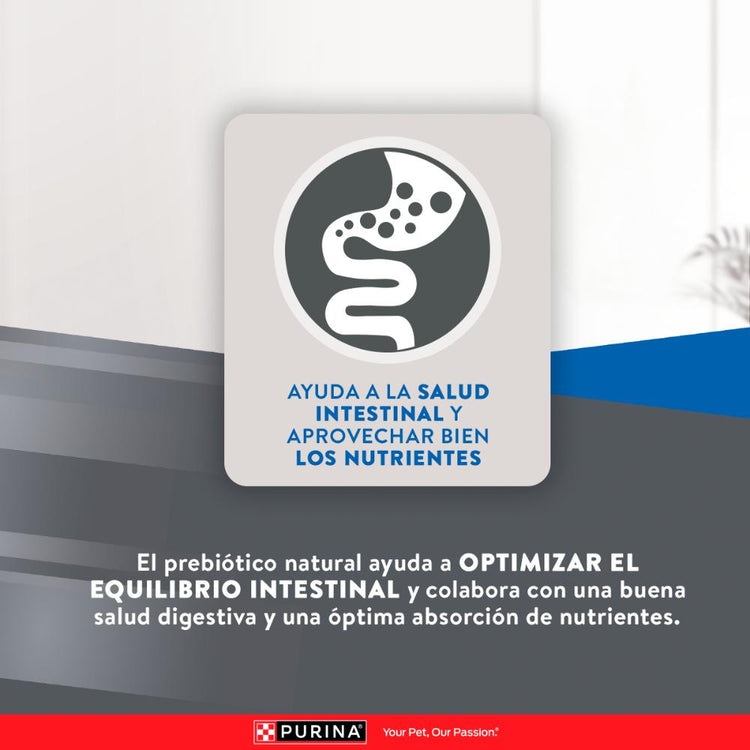 Purina Excellent Urinary Gatos Adultos