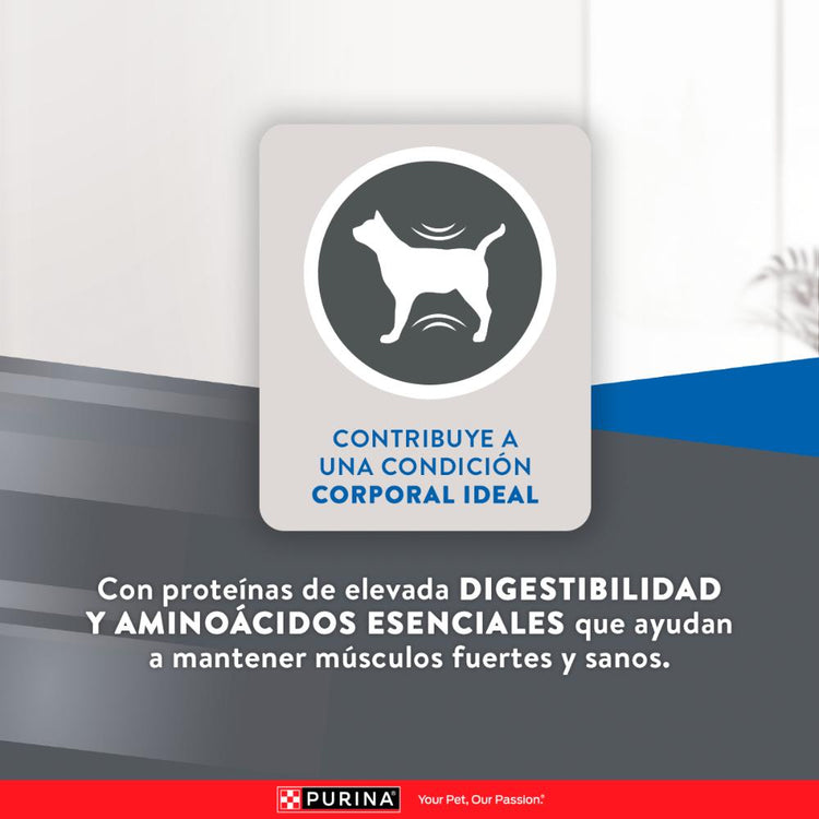 Purina Excellent Urinary Gatos Adultos