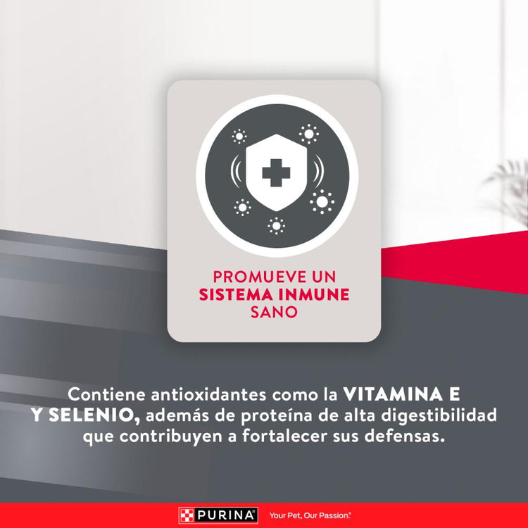 Purina Excellent Skin Care Perros