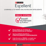 Purina Excellent Skin Care Perros